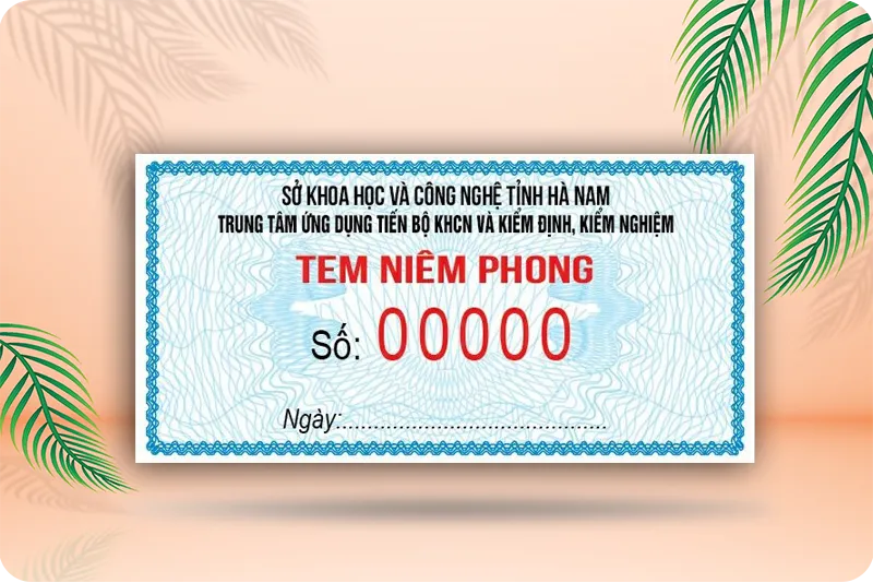 Mau Tem Chong Hang Gia 2 1