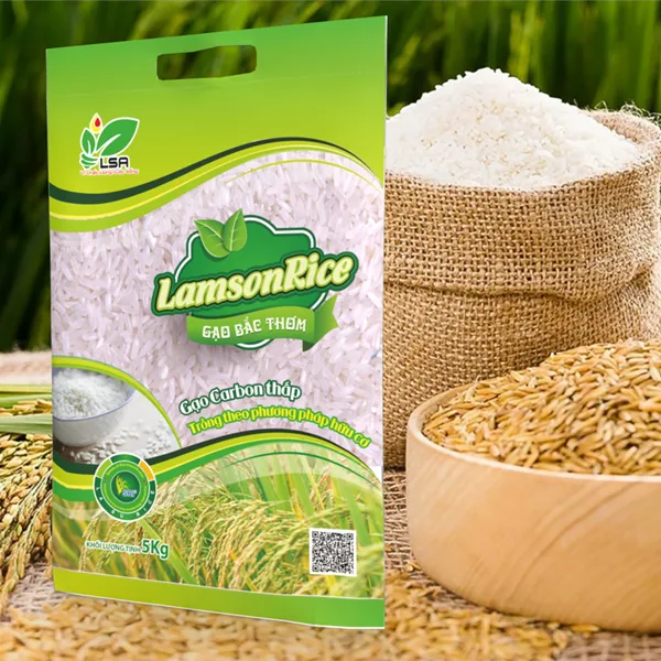 Bao bì gạo PP dệt là một trong những lựa chọn phổ biến nhất hiện nay